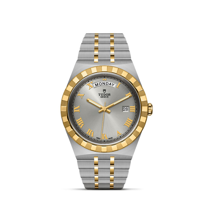 Tudor Watches Collection | Veschetti